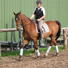 Holstener Charlie M. 