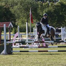 Anden særlig race Royal Rubin