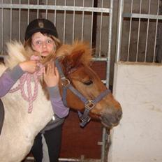 Anden særlig race KLAUS - SOLGT :'(<3