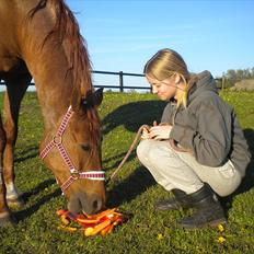 Anden særlig race Isabelle *Min engel*