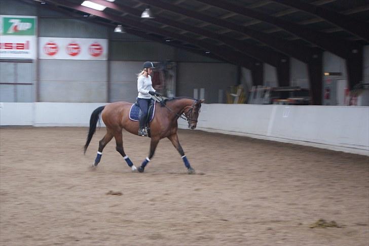 Dansk Varmblod Charming Salsa - RIP;( - Salsa og mig 20.04.10 billede 8