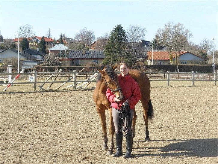 Anden særlig race Dyssegaardens Ameidy † billede 15