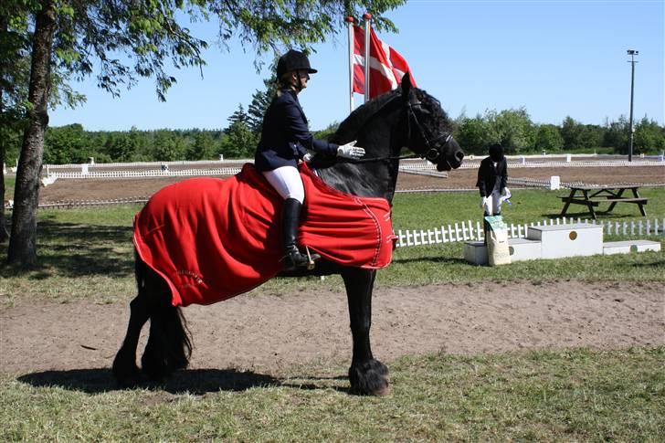 Frieser Tothøjlunds Tyson R.I.P - tyson vandt srs cup i lc3 dressur i søndertoft forår 09 billede 10