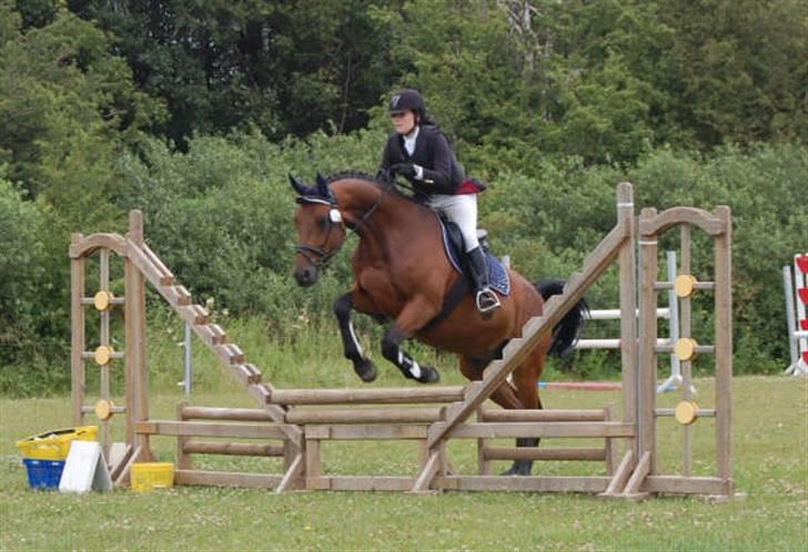 Dansk Varmblod Highlight - Military stævne på Søborggård d. 11. juli billede 7
