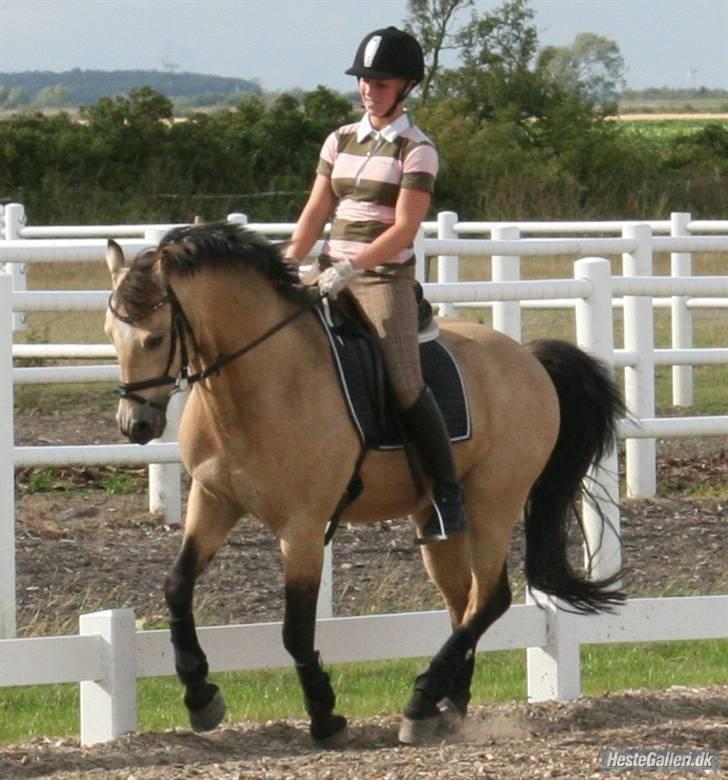 DSP Toojour  - foto: Anne Gebka billede 6