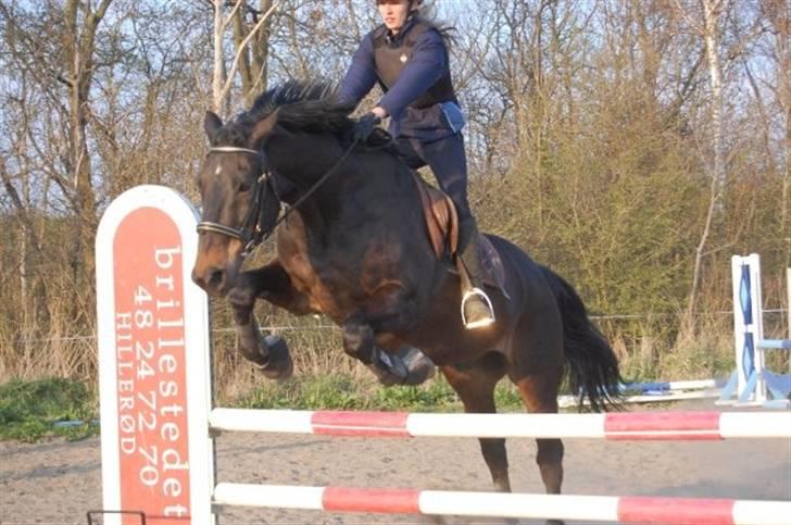 Oldenborg Aude - træning foto: tinke billede 13