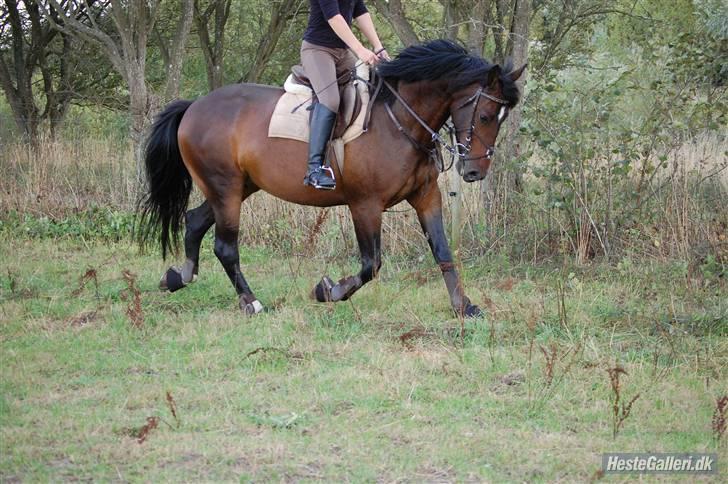 Anden særlig race Amazing Star - min prinsesse <3´ billede 16