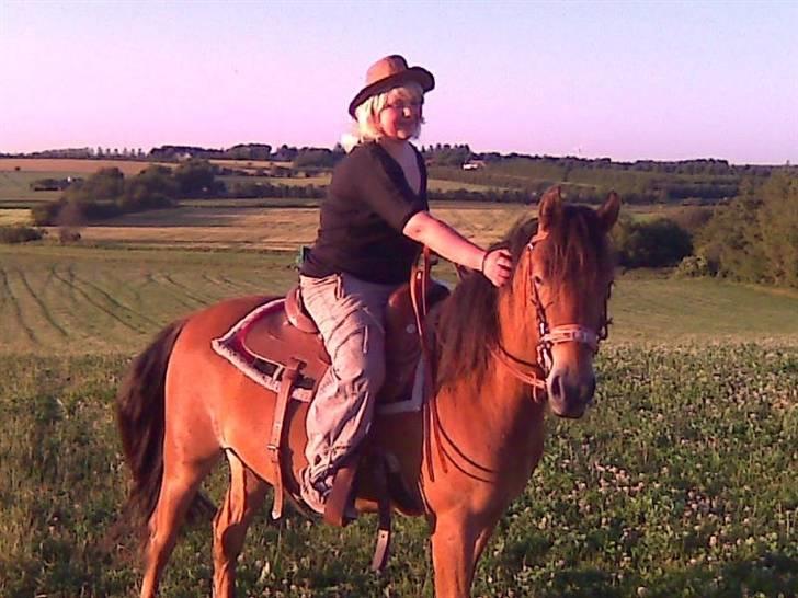 Anden særlig race breezer billede 12