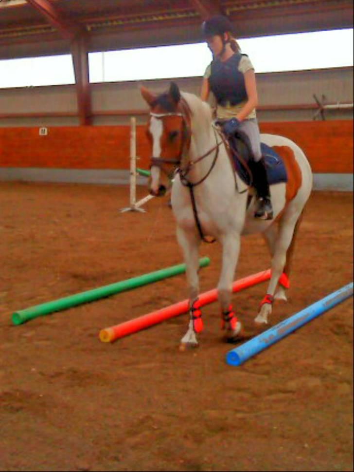 Anden særlig race Nyholm's Thunder SOLGT -  Thunder&mig.<3 juni 09 billede 3