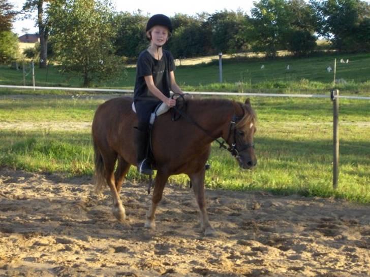 Anden særlig race Lui SOLGT - lui og mig, dengang vi var små. lui 3år på det her billede. billede 3