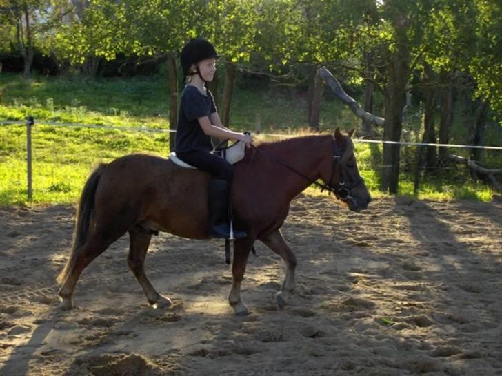 Anden særlig race Lui SOLGT - lui og mig, dengang vi var små. lui 3år på det her billede. billede 5