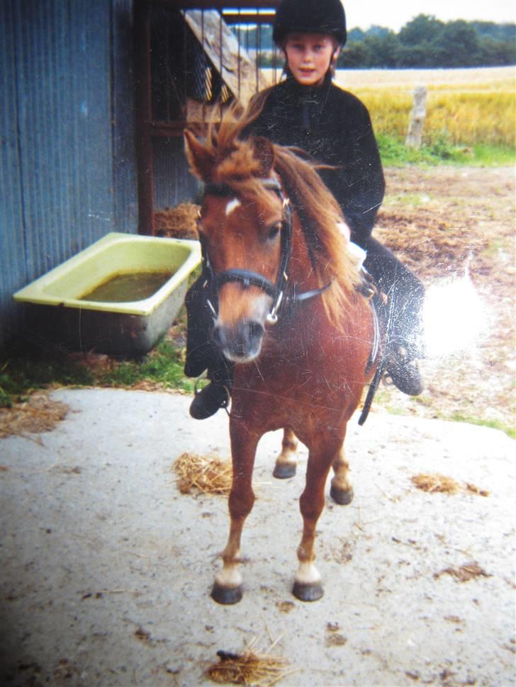 Anden særlig race Lui SOLGT - lui og mig da jeg var lille. billede 6