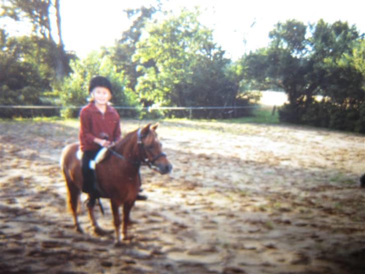 Anden særlig race Lui SOLGT - Lui og mig da jeg var lille. billede 7