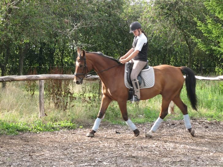 Holstener Charlie M.  billede 4