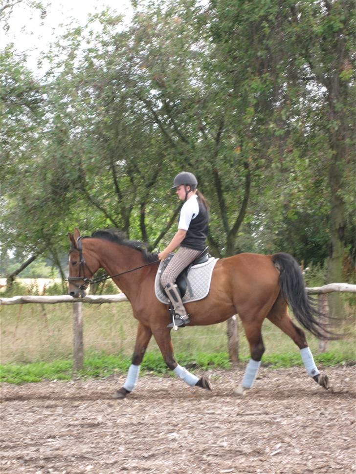 Holstener Charlie M.  billede 8