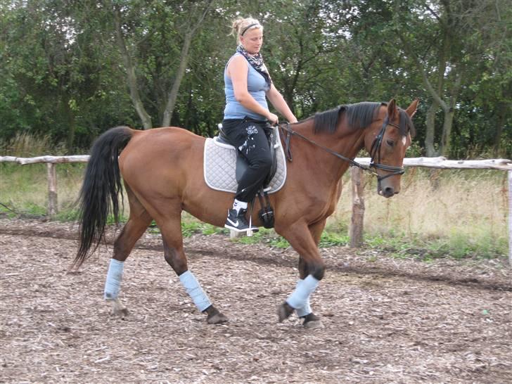 Holstener Charlie M.  billede 12