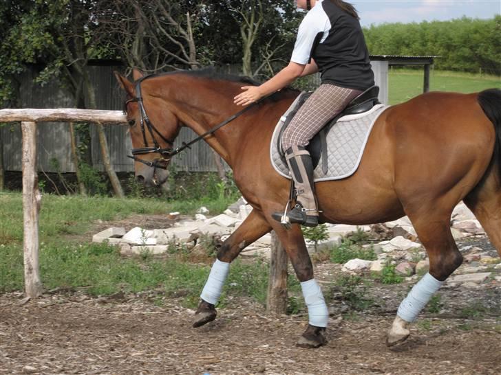 Holstener Charlie M.  billede 15