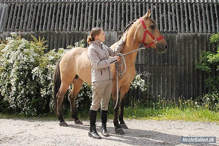 Anden særlig race Linka<3 - Min hest og jeg <3  ;) billede 15