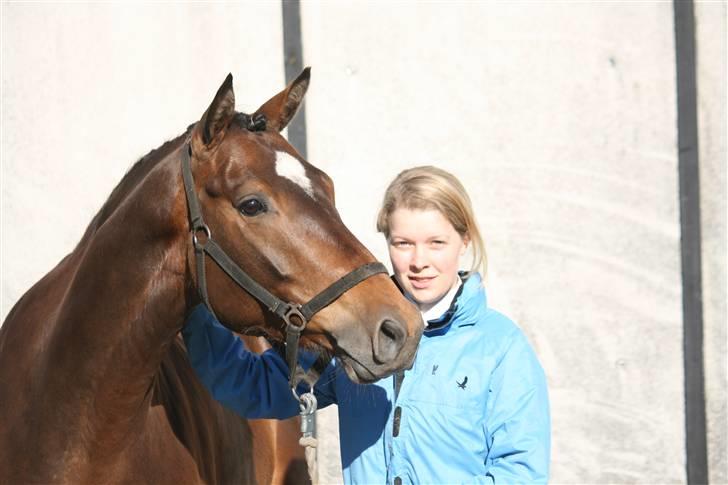 Trakehner Katalie Dyrhave - Katalie og jeg siger velkommen billede 1