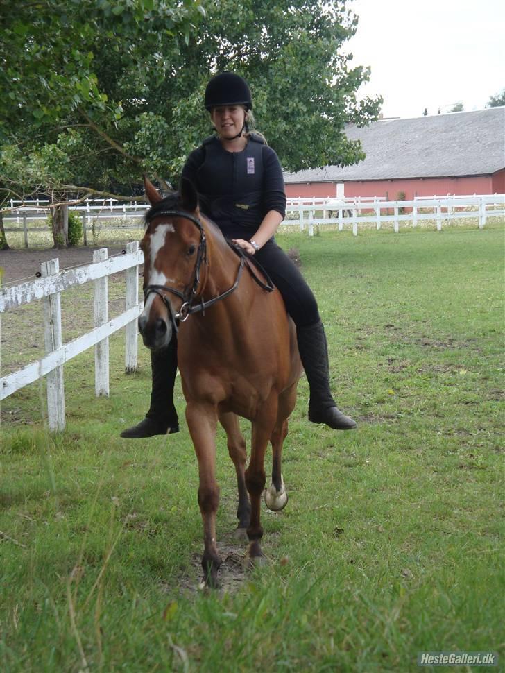 Anden særlig race Robin. (Tidl. part) - Den søde Ida fotograferede os...<3 billede 12