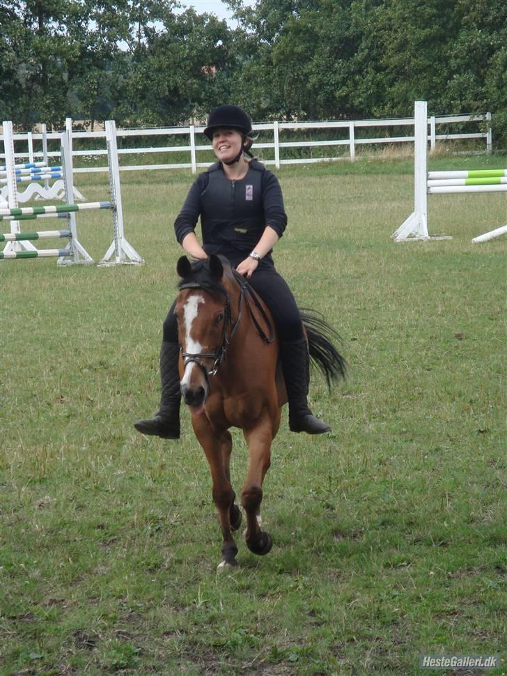 Anden særlig race Robin. (Tidl. part) - Weee... afsti afsted... billede 14