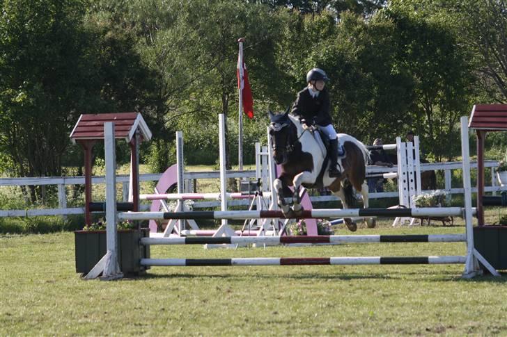 Anden særlig race Royal Rubin - Juhuuu spring !!! billede 2