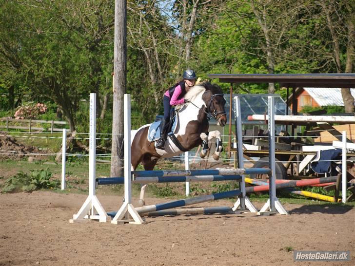 Anden særlig race Royal Rubin - Se jeg kan flyve.....!! billede 4