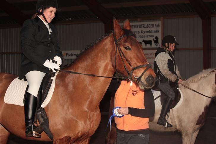 Anden særlig race Fay (bedste hoppe ever) - 2. plads til første stævne på Fay.. Foto: Malene Ølgod. billede 3