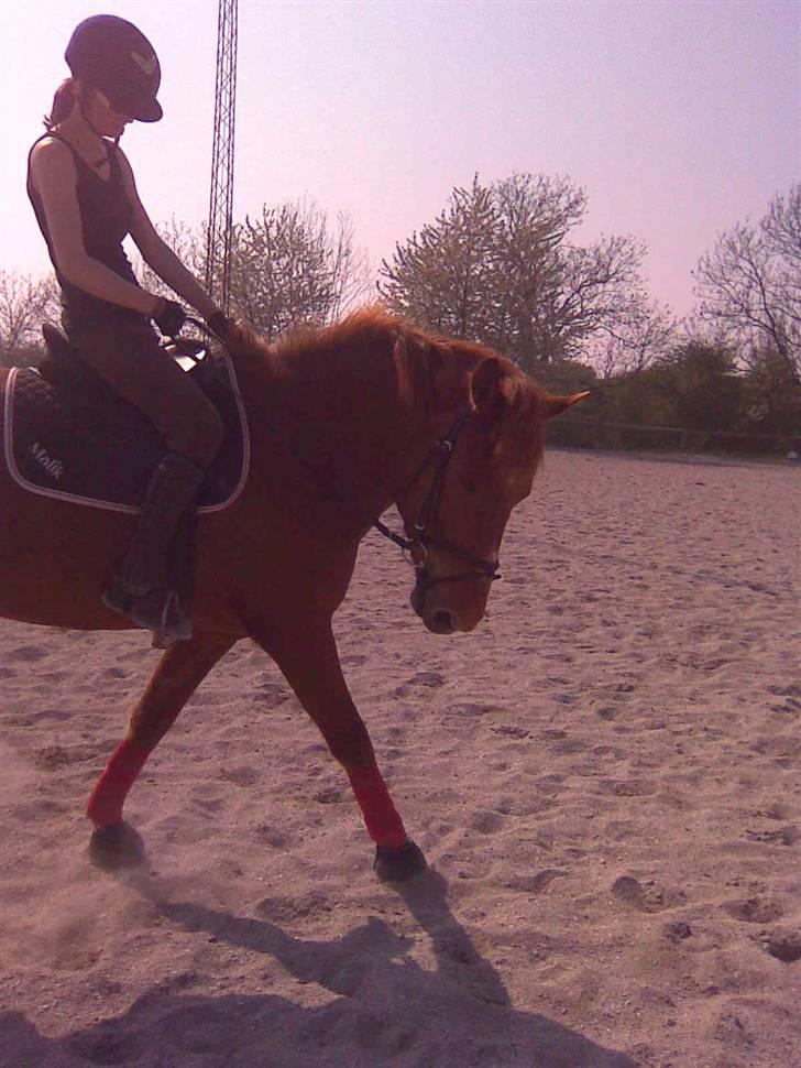 Oldenborg Malik billede 17