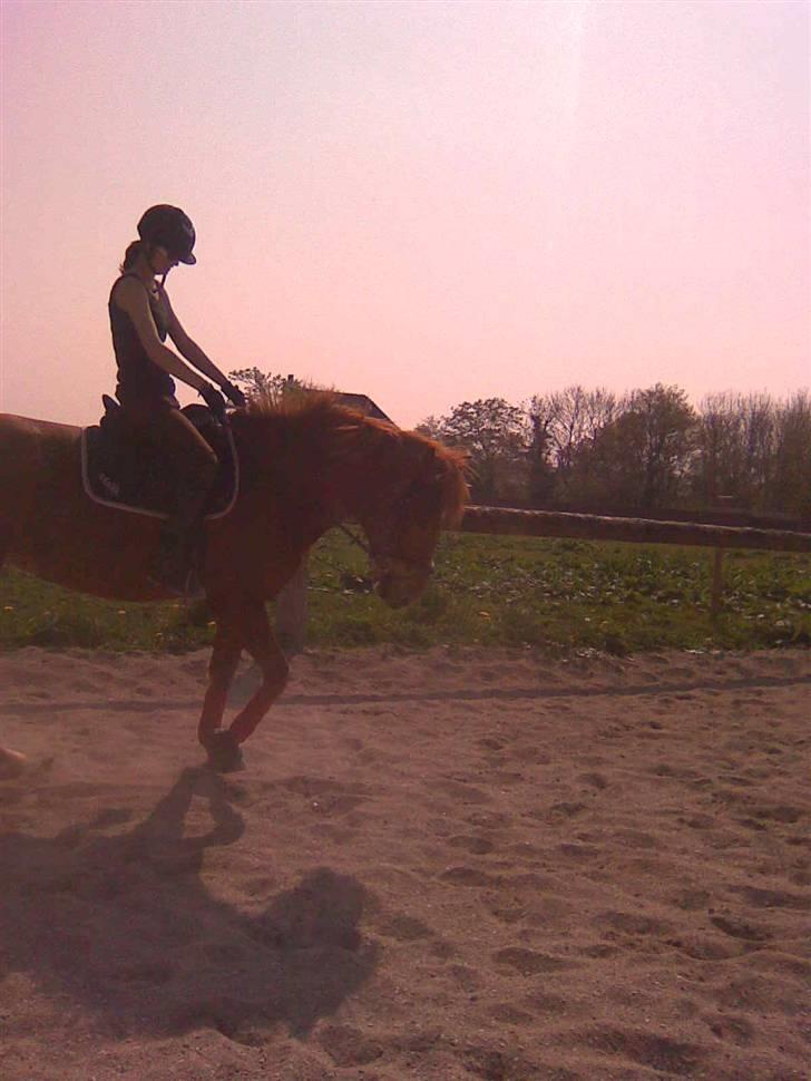 Oldenborg Malik billede 19