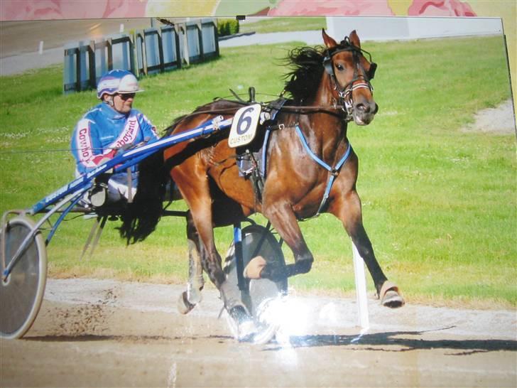 Traver Opus R.I.P  billede 7