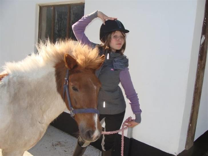 Anden særlig race KLAUS - SOLGT :'(<3 - - jeg var så glad, med dig. jeg stolede så meget på dig!  billede 2