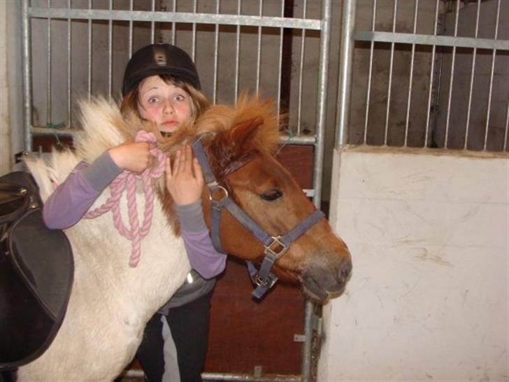 Anden særlig race KLAUS - SOLGT :'(<3 - - jeg elsker dig! du vil aldrig blive glemt.. billede 3