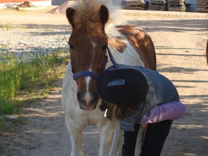 Anden særlig race KLAUS - SOLGT :'(<3 - - det allersidste kys, det allersidste farvel, du bliver aldrig nogensinde glemt. billede 5