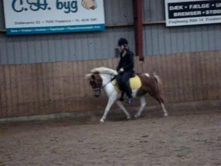 Anden særlig race KLAUS - SOLGT :'(<3 - vi var bare kommet så langt!! Jeg elsker dig! billede 6