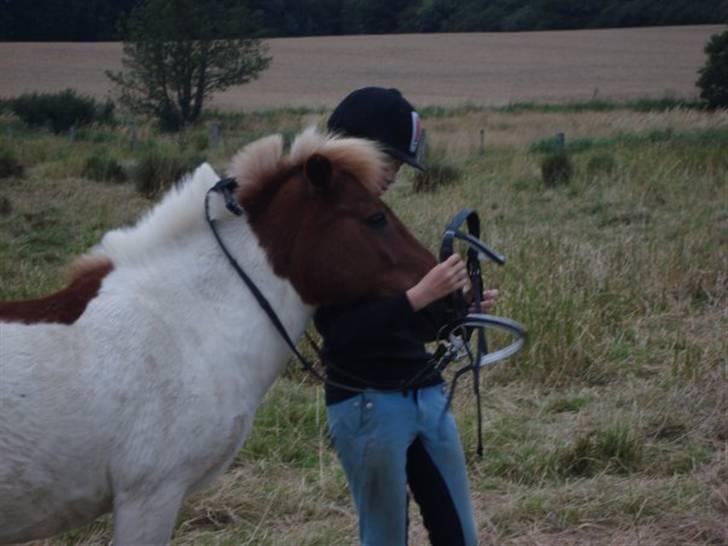 Anden særlig race KLAUS - SOLGT :'(<3 - - du har gjort mig til den jeg er idag... billede 7