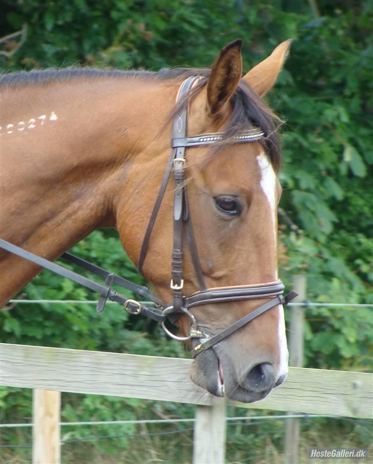 Traver Highlight<3†DØD†savnet:'( - er jeg ikke bare køn billede 15