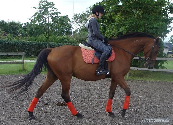 Traver Highlight<3†DØD†savnet:'( - wow se hvor flot jeg kan gå:) billede 16