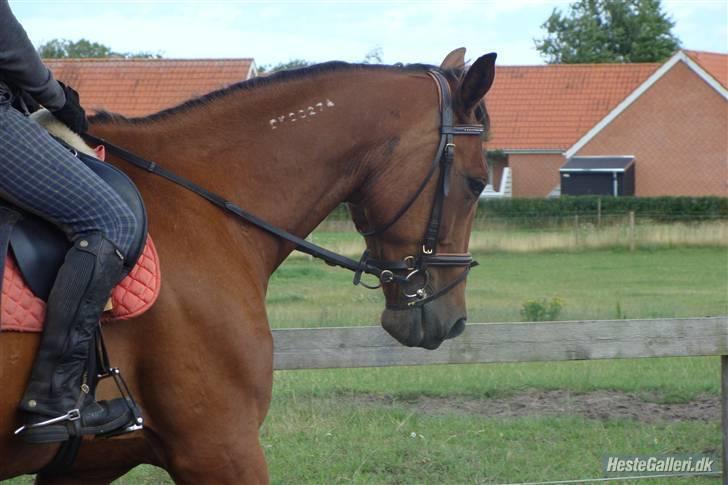 Traver Highlight<3†DØD†savnet:'( - ;´) billede 17