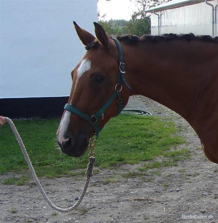 Traver Highlight<3†DØD†savnet:'( - hvad er det lide hun har gang i?? billede 19