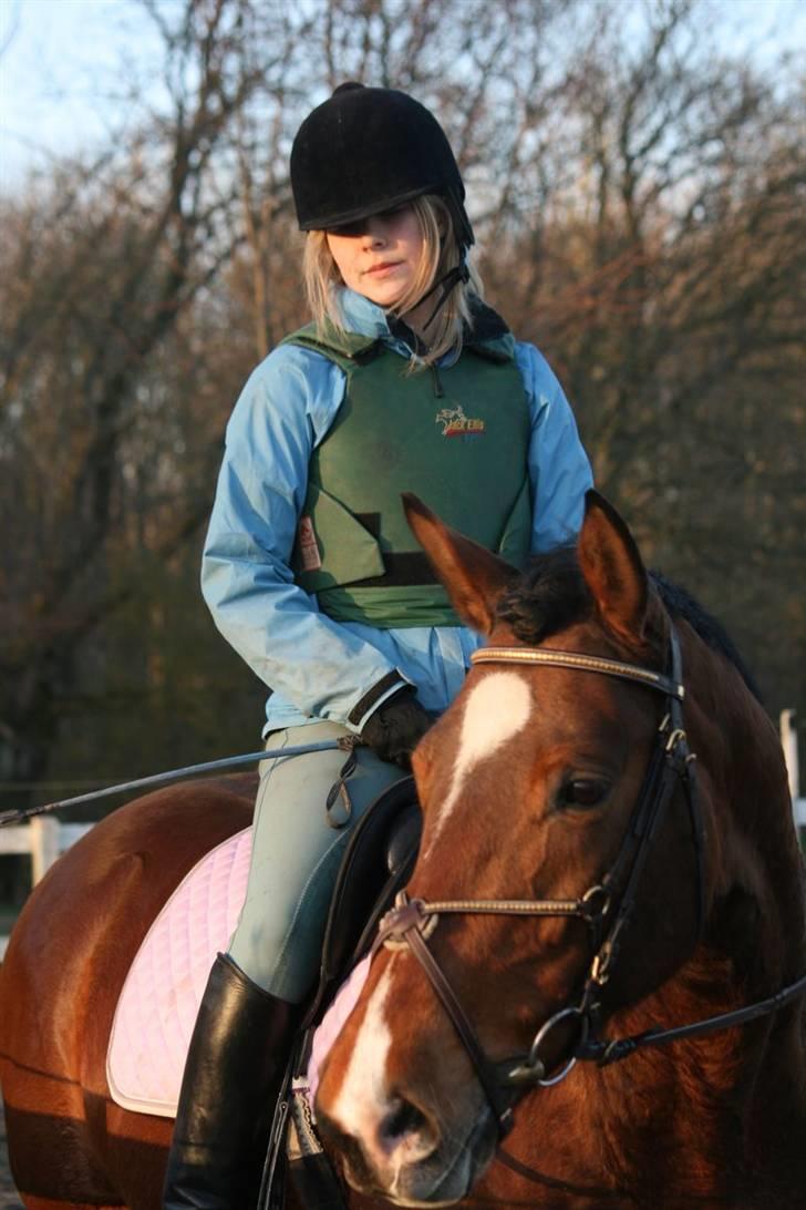 Trakehner Kandis Dyrhave - vinter 2008 billede 7