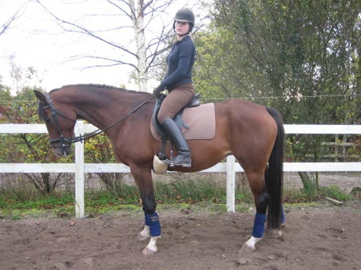 Trakehner Kandis Dyrhave - Mig og Kandis i vores yngere år hvor vi stadig prøvede med dressur, billede 10