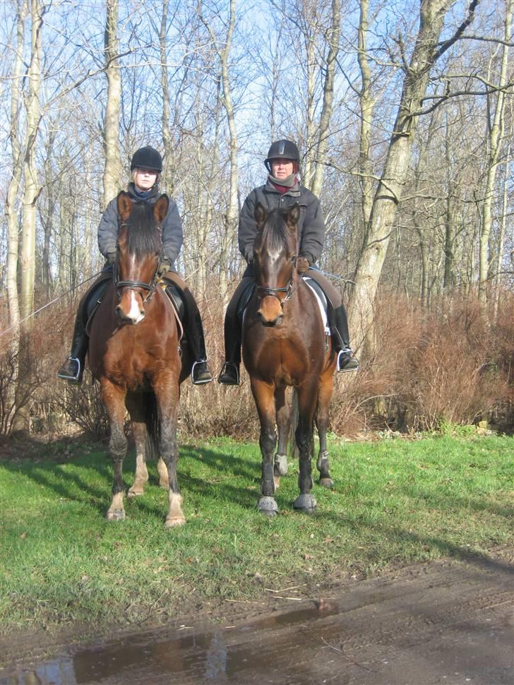 Trakehner Kandis Dyrhave - Kandis Dyrhave og Katalie Dyrhave (Mor og Datter X2 da det er min mor på Katalie og mig på Kandis) billede 15