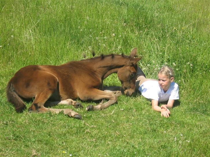 Traver Silke EC - Silke har løbet efter Vega og jeg har redet så nu er vi godt træte<3 Foto: Annette billede 15