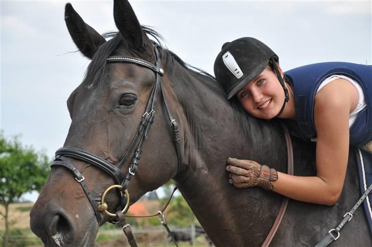 Holstener Claudi (Solgt) billede 1