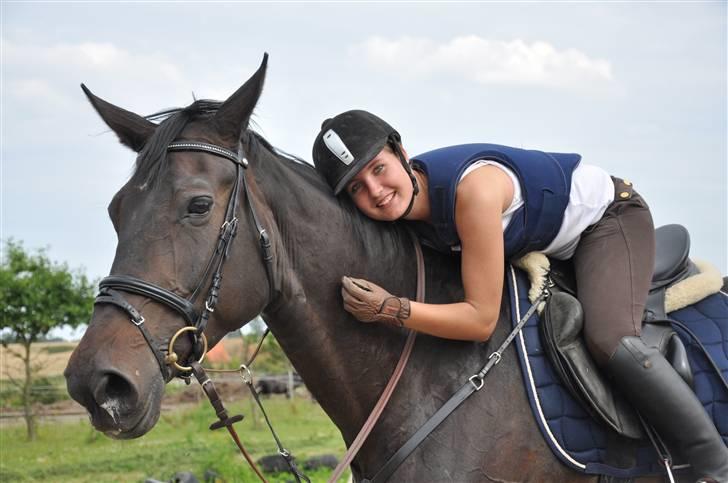 Holstener Claudi (Solgt) billede 3