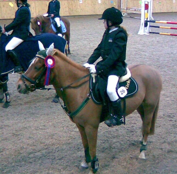 Anden særlig race Nicki solgt!! - En af vores mange rosetter billede 6