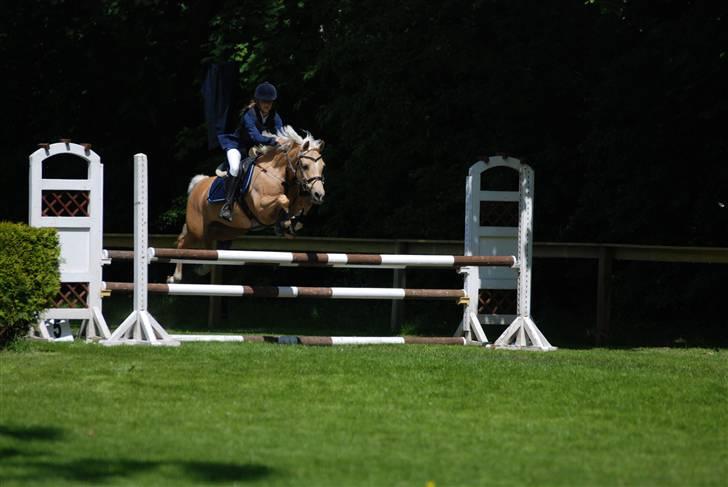 Palomino Imke *Rider* *solgt* - Imkes og mit sidste stævne inden hun blev solgt :/ billede 9