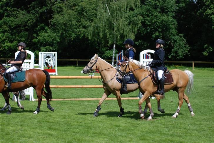 Palomino Imke *Rider* *solgt* - Imkes og mit sidste stævne inden hun blev solgt :/ billede 10