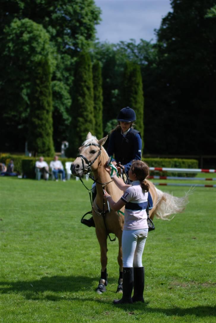 Palomino Imke *Rider* *solgt* - Imkes og mit sidste stævne inden hun blev solgt :/ billede 11